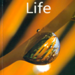 Dynamic Life